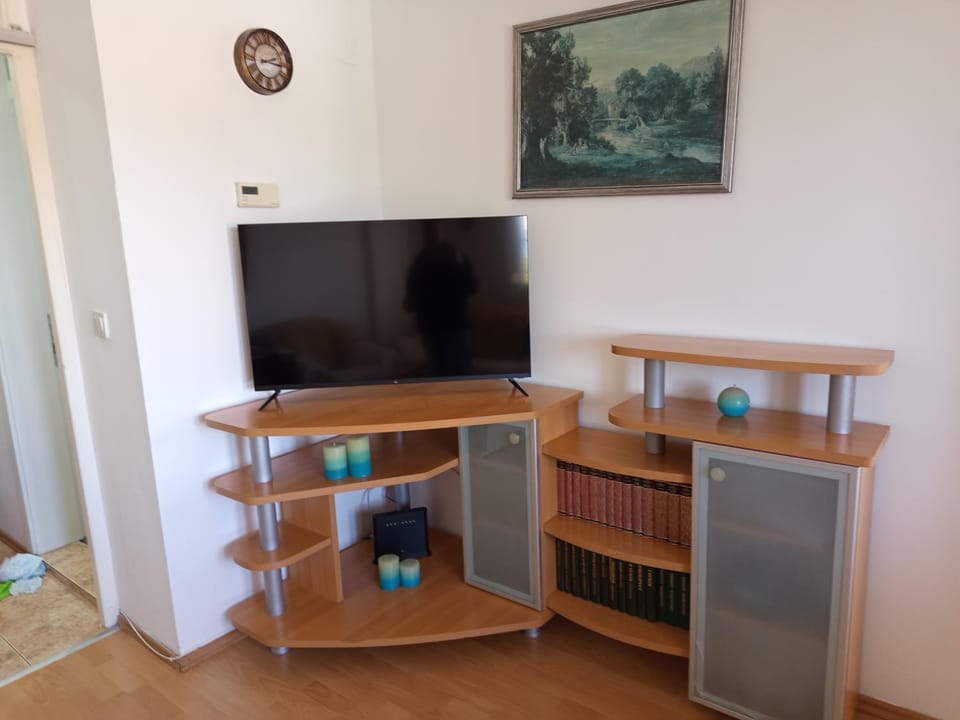 TV and multimedia