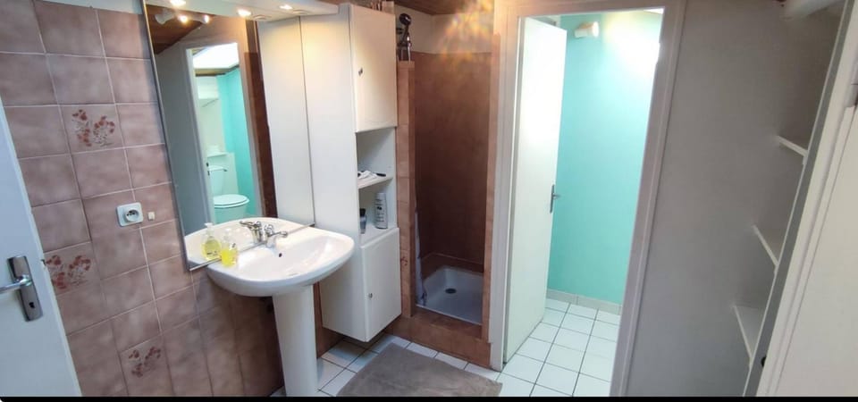 Appartement duplex spacieux en hypercentre avec garage privé Apartment in Occitanie