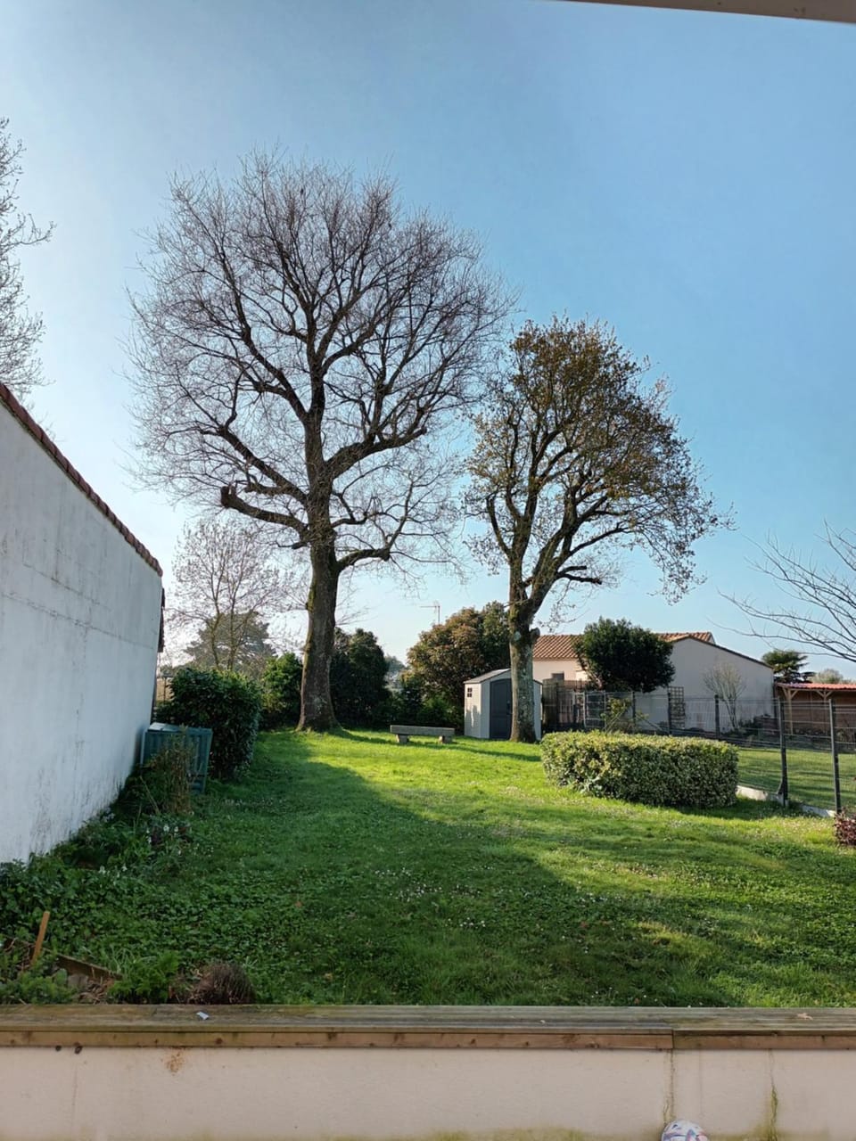 Garden, Garden