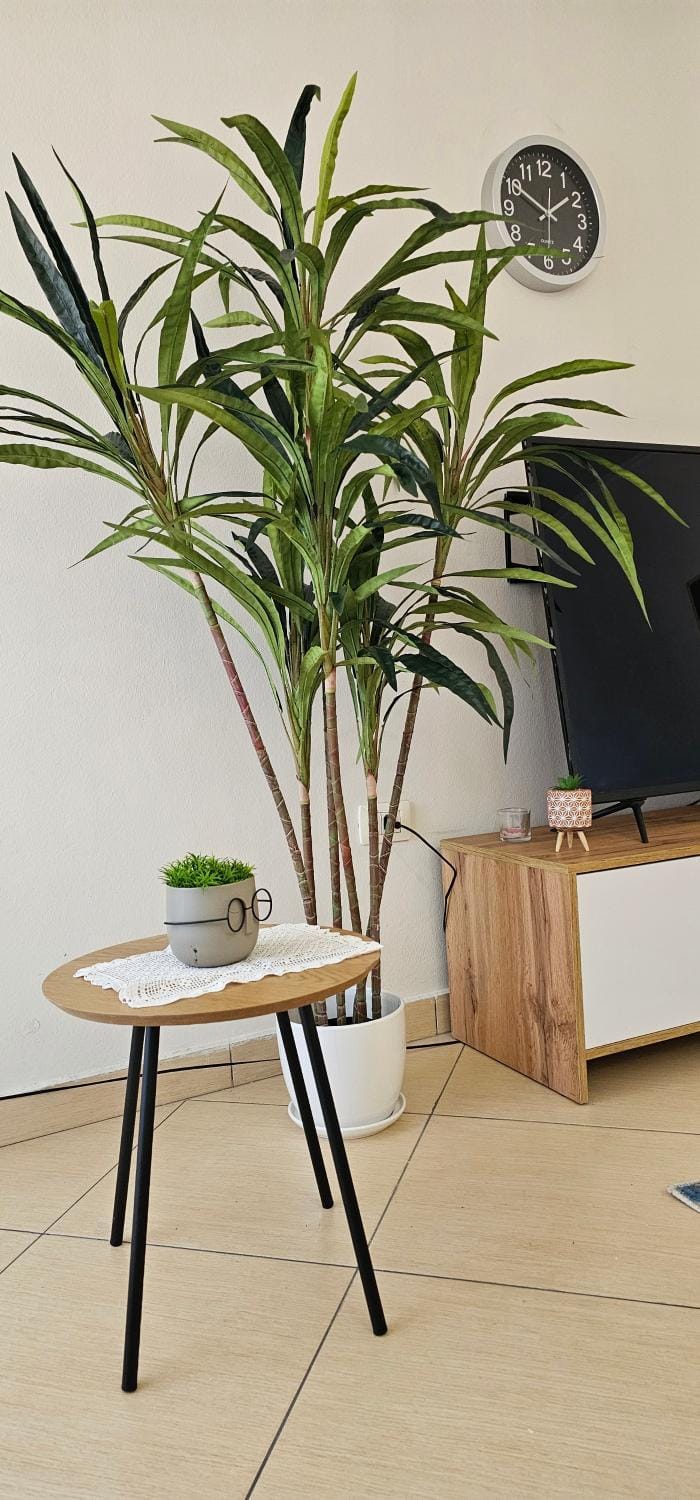 Bright Central Apartment Apartment in Tirana