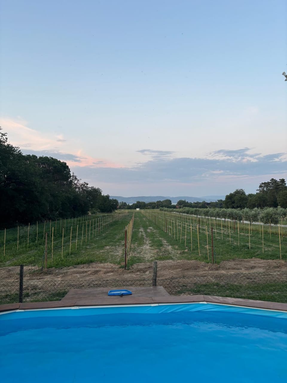 Bird's eye view, Summer, Mountain view, Mountain view, Pool view, Pool view, Swimming pool, Swimming pool, Swimming pool, Sunset