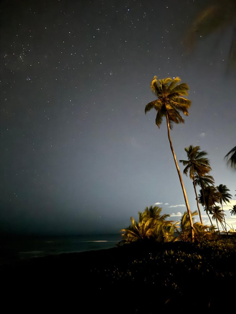 Village Luxury Praia do forte Villa in State of Bahia