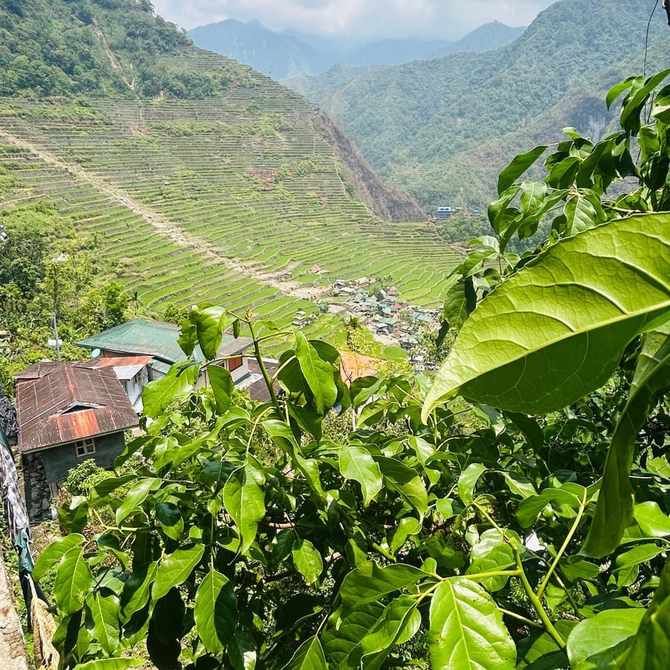 Batad Pension and Restaurant Native House Vacation rental in Cordillera Administrative Region