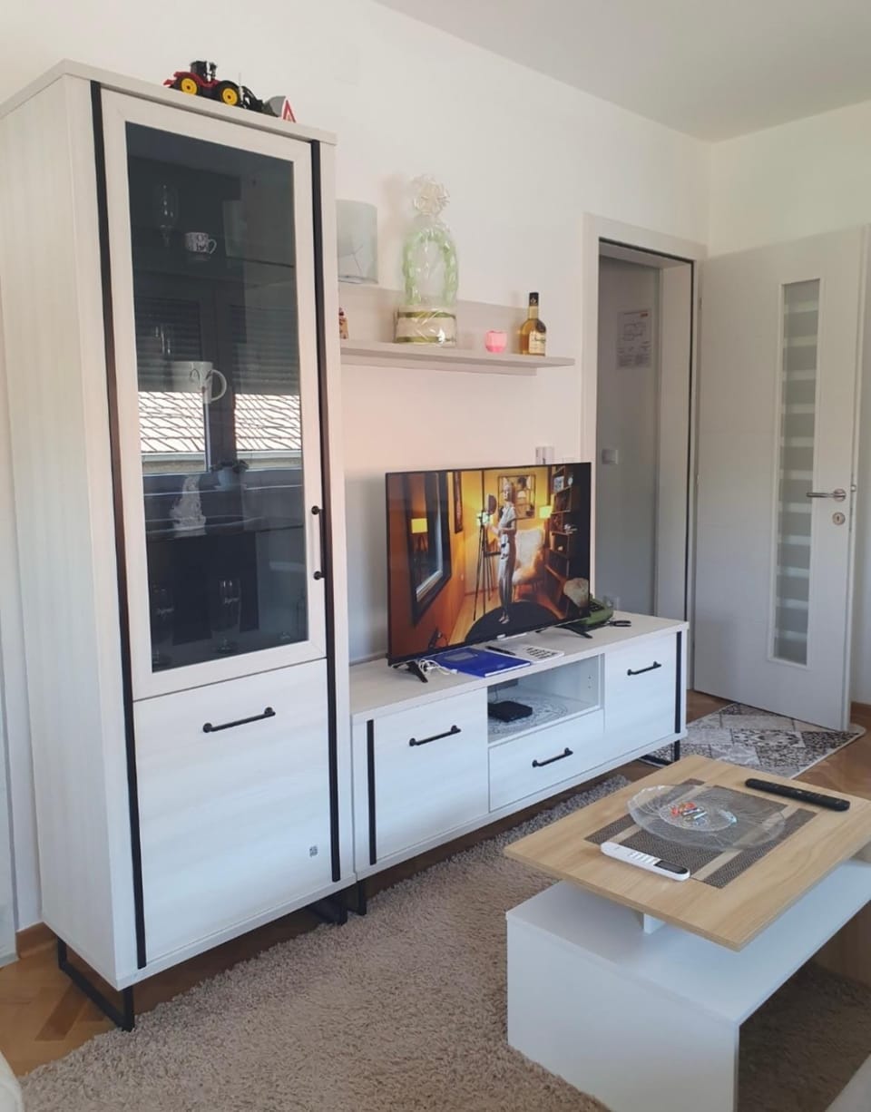 Apartman studio Apartment in Serbia