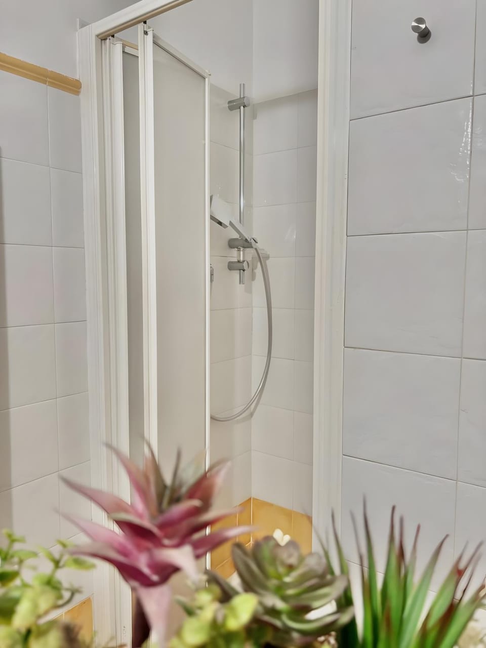 Bathroom, Living room