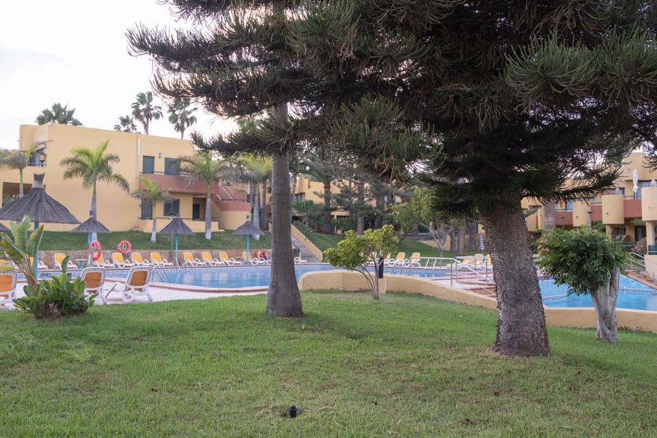 Garden, Garden, View (from property/room), Lounge or bar, Swimming pool