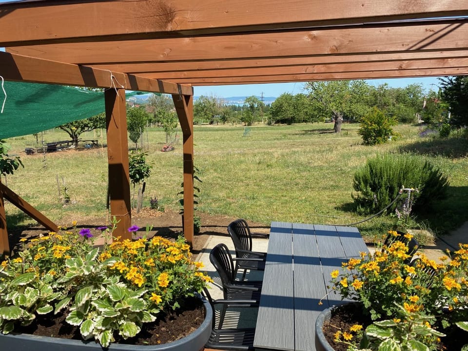 Patio, Garden, Garden view