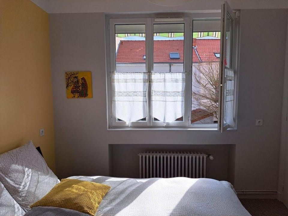 1 chambre chez l'habitant maison jardin coeur de ville Apartment in Auvergne-Rhône-Alpes