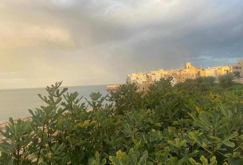 Petra Paura Bed and Breakfast in Polignano a Mare
