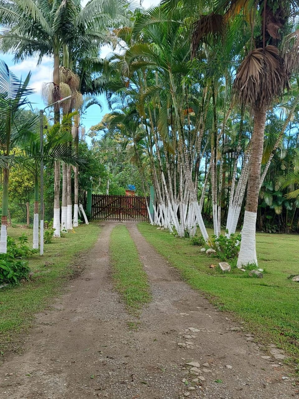 Sitio com piscina House in Itanhaém