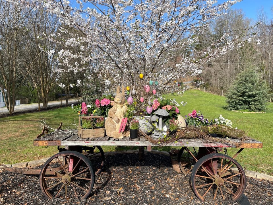 Yellow Daisy Bed and Breakfast Bed and Breakfast in Dahlonega