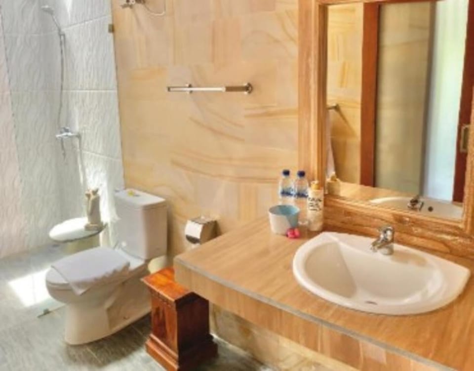 Toilet, Bathroom, towels