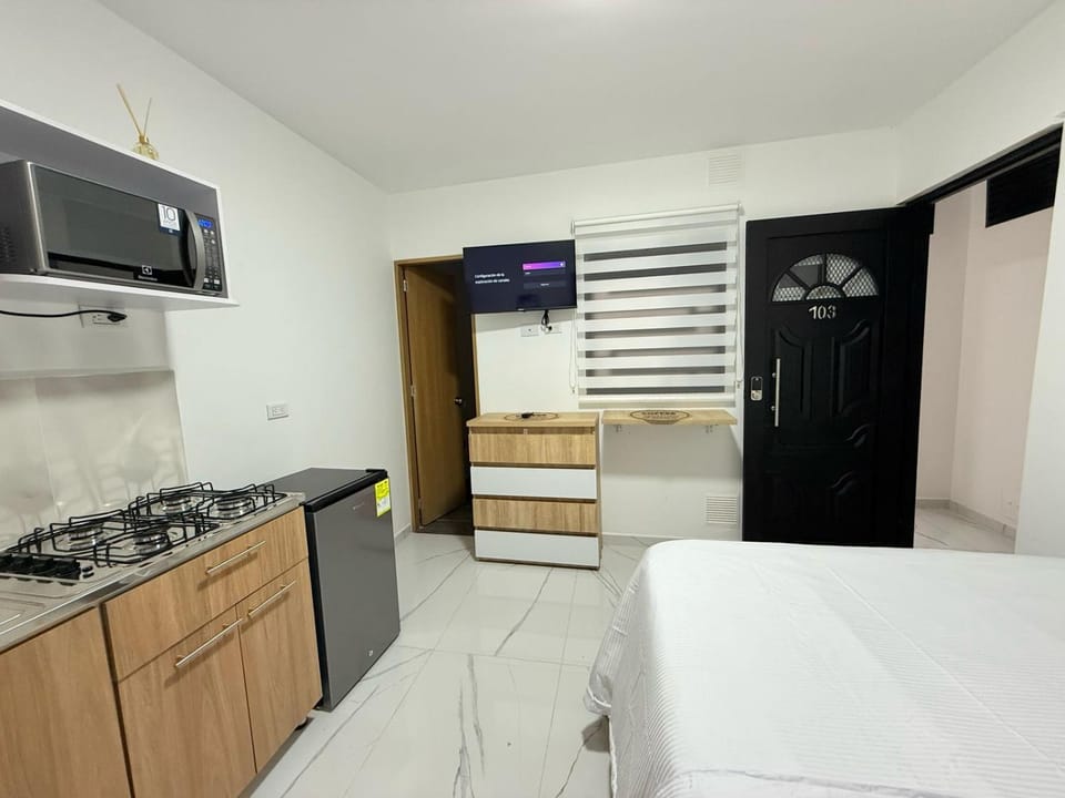Bed, TV and multimedia, Kitchen or kitchenette, Photo of the whole room, Bedroom, minibar, oven, stove