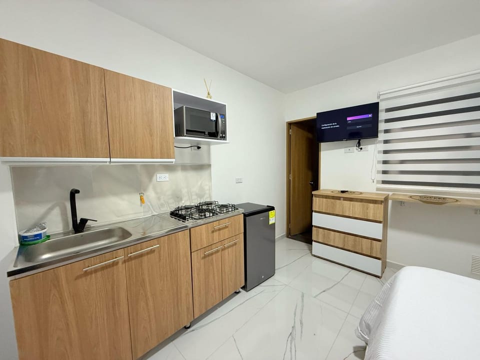Bed, TV and multimedia, Kitchen or kitchenette, Photo of the whole room, Bedroom, minibar, oven, stove