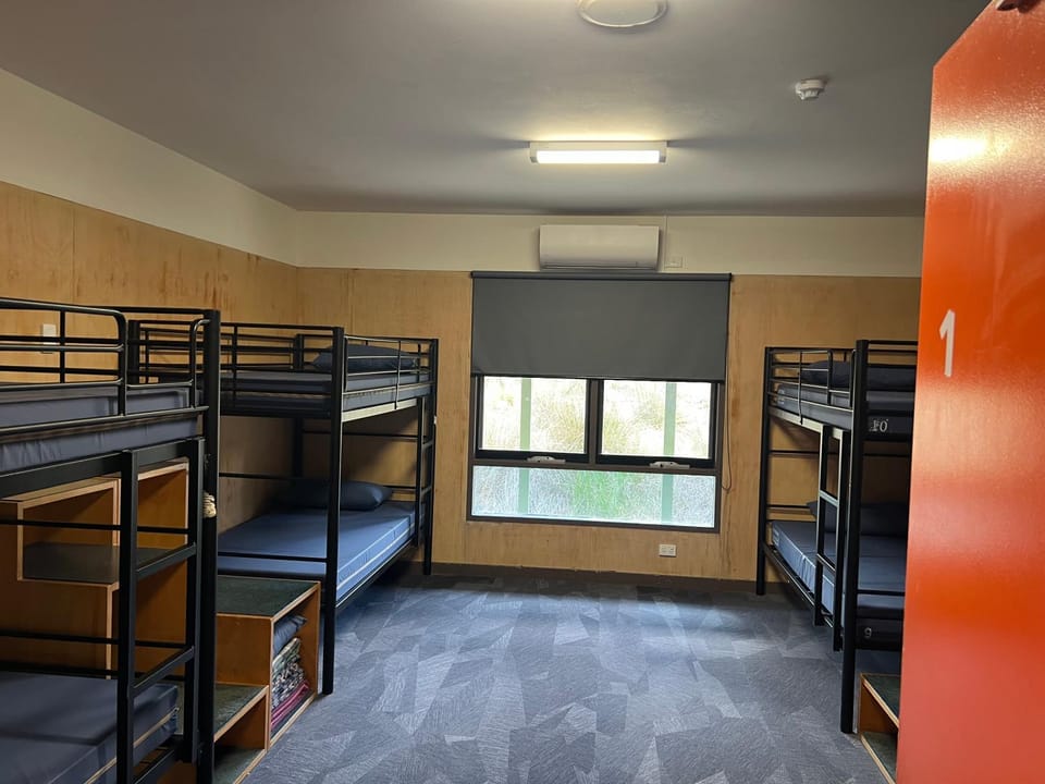bunk bed