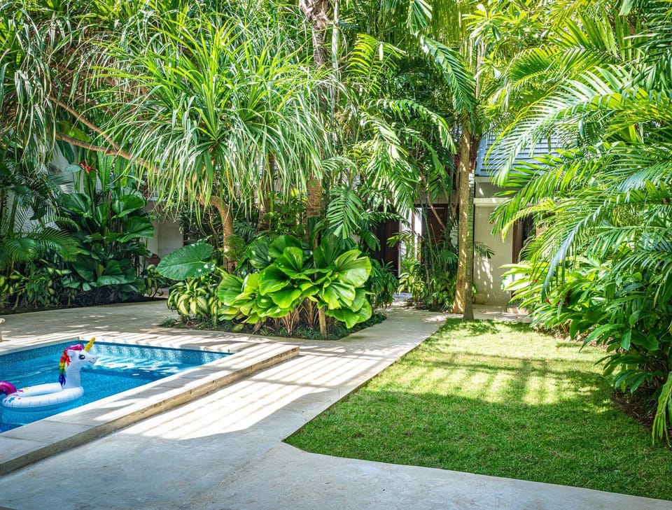 Garden, Inner courtyard view