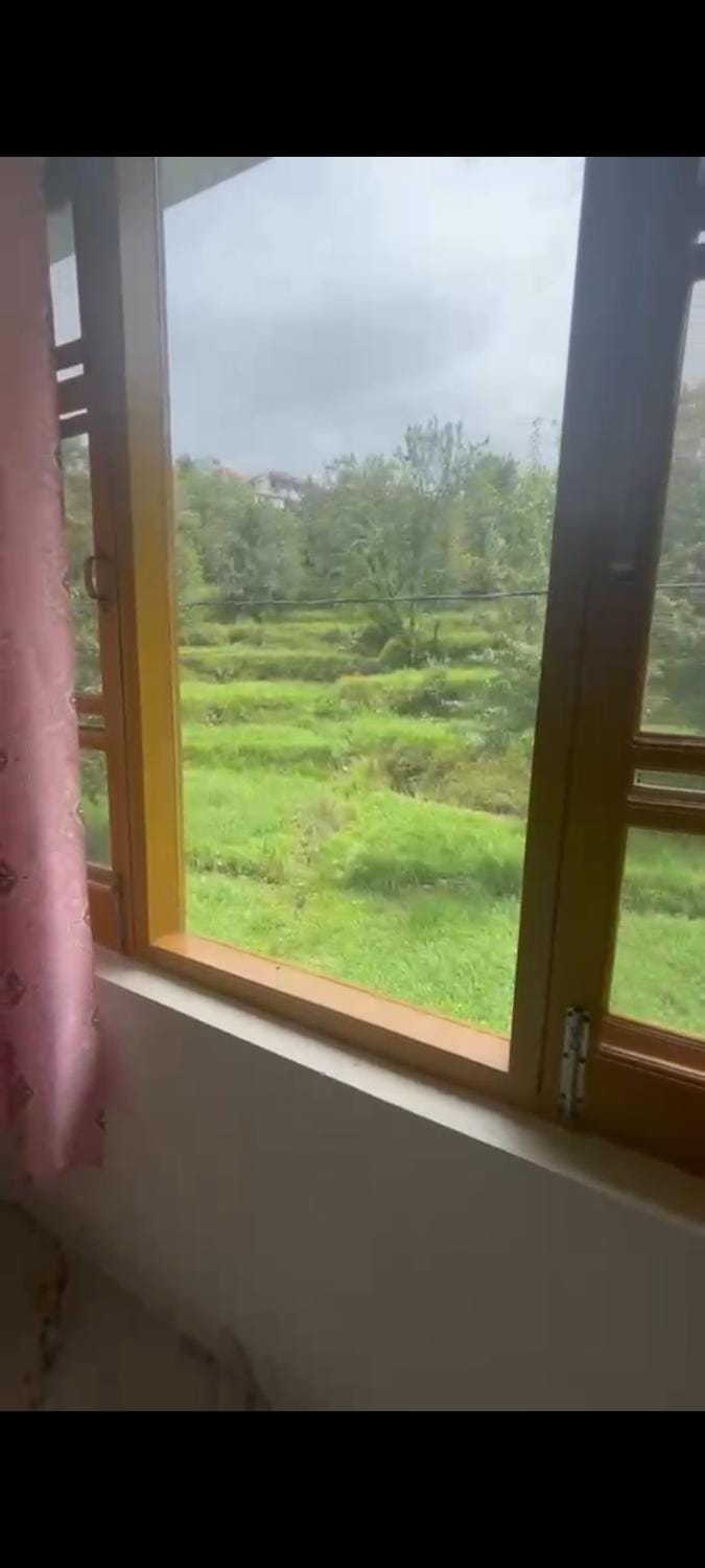 Natural landscape, Garden, Garden view