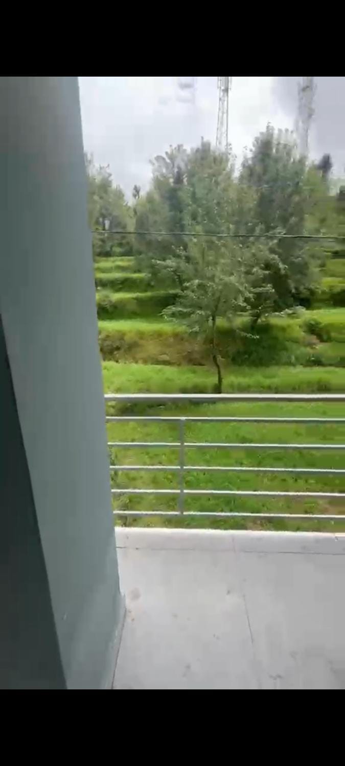 Natural landscape, Garden, Garden view