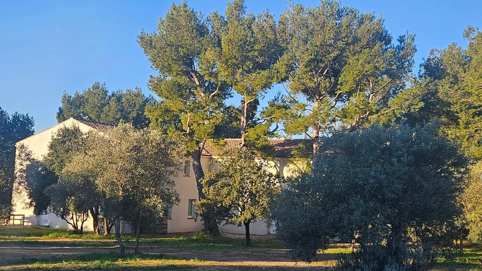 Property building, Natural landscape, Garden, Garden view