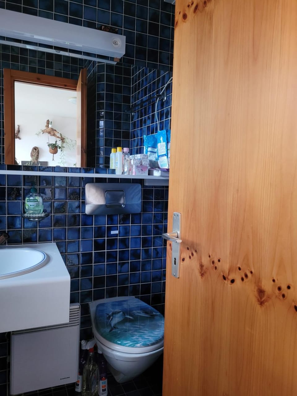 Toilet, Bathroom