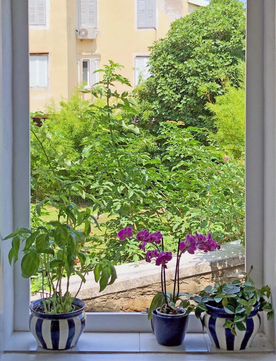 View (from property/room)