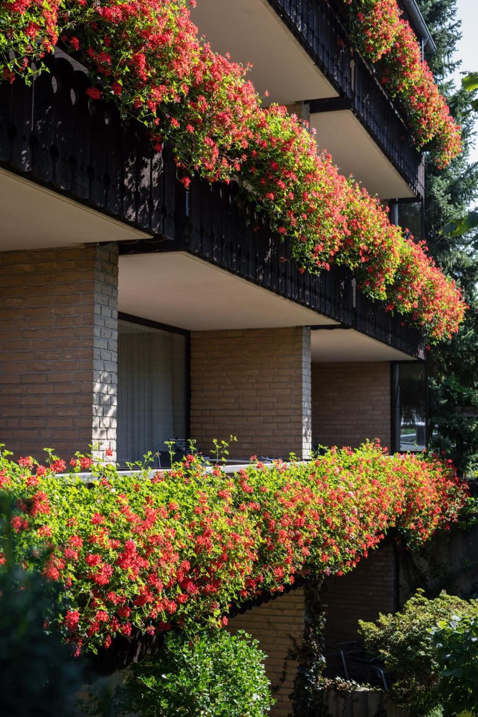 Property building, Spring, Garden view