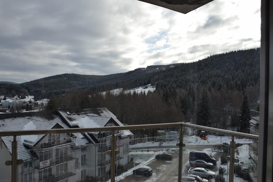 Neighbourhood, Winter, Mountain view, Parking
