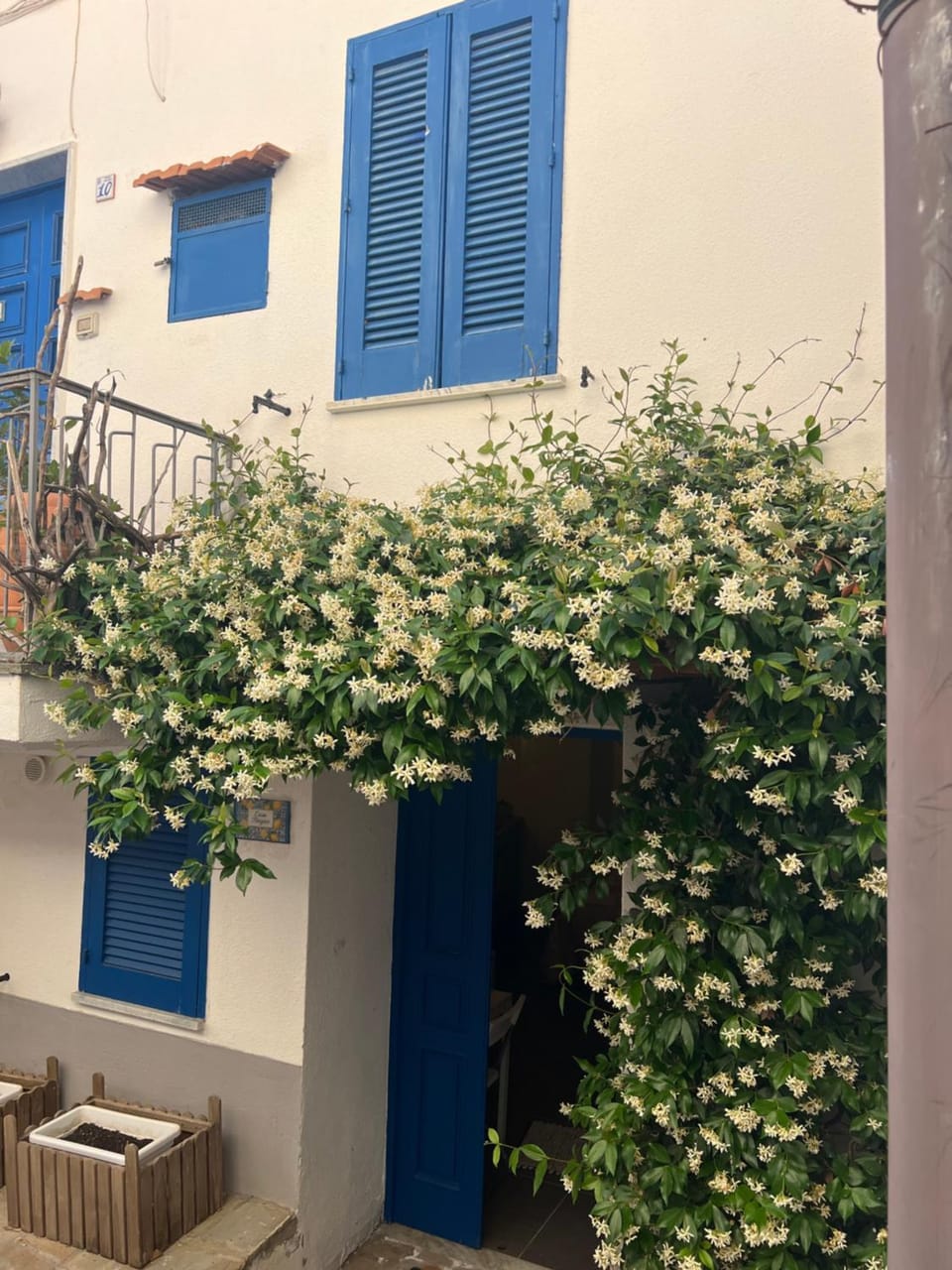Casa Magica Ogliastro Apartment in Campania