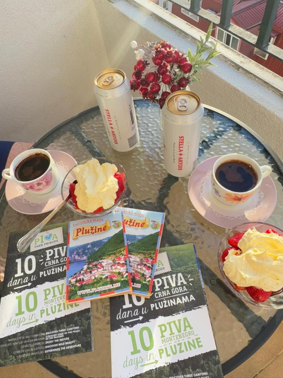 Apartment Milos Apartment in Montenegro