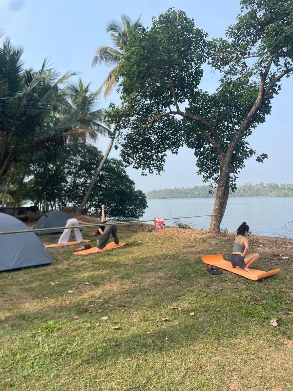 Day, Activities, Guests