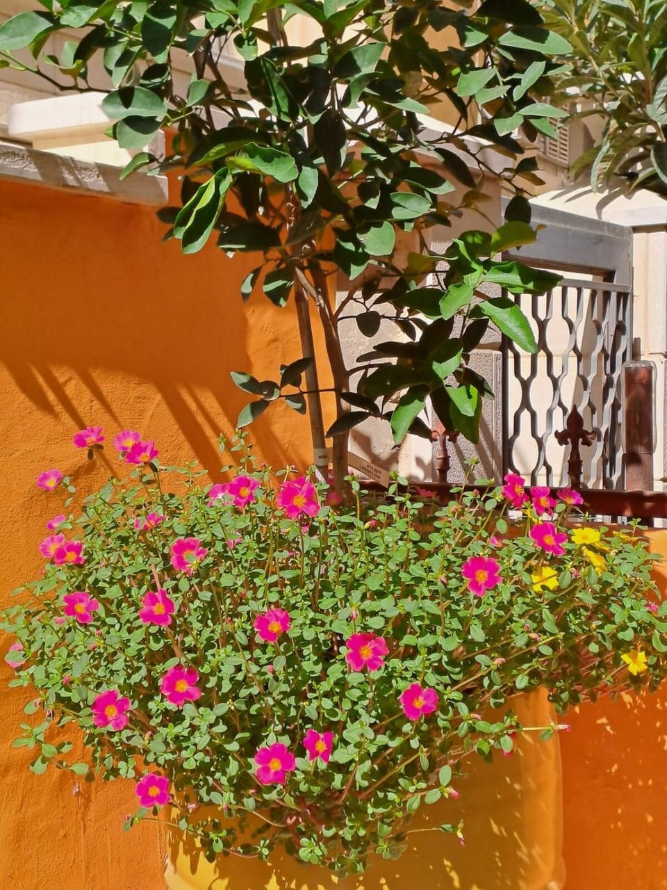 Fellini Julia loft balcony Apartment in Haifa