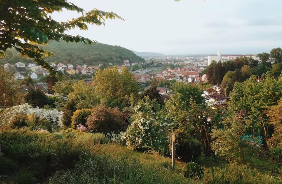 Day, Natural landscape, Garden, City view