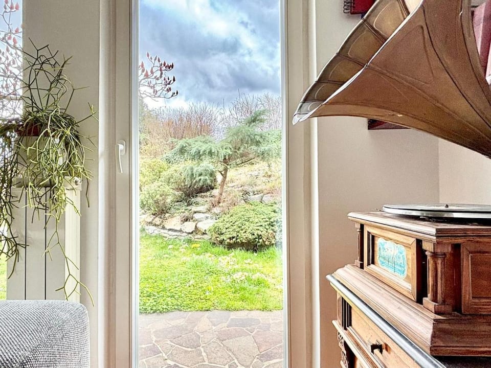 Day, Natural landscape, Garden, Garden view