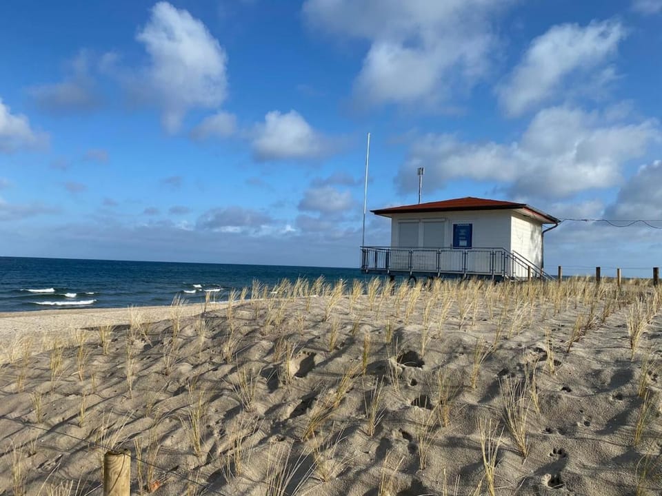 Zempin - Usedom - Ferienwohnung am Meer im EG Apartment in Mecklenburg-Vorpommern, Germany