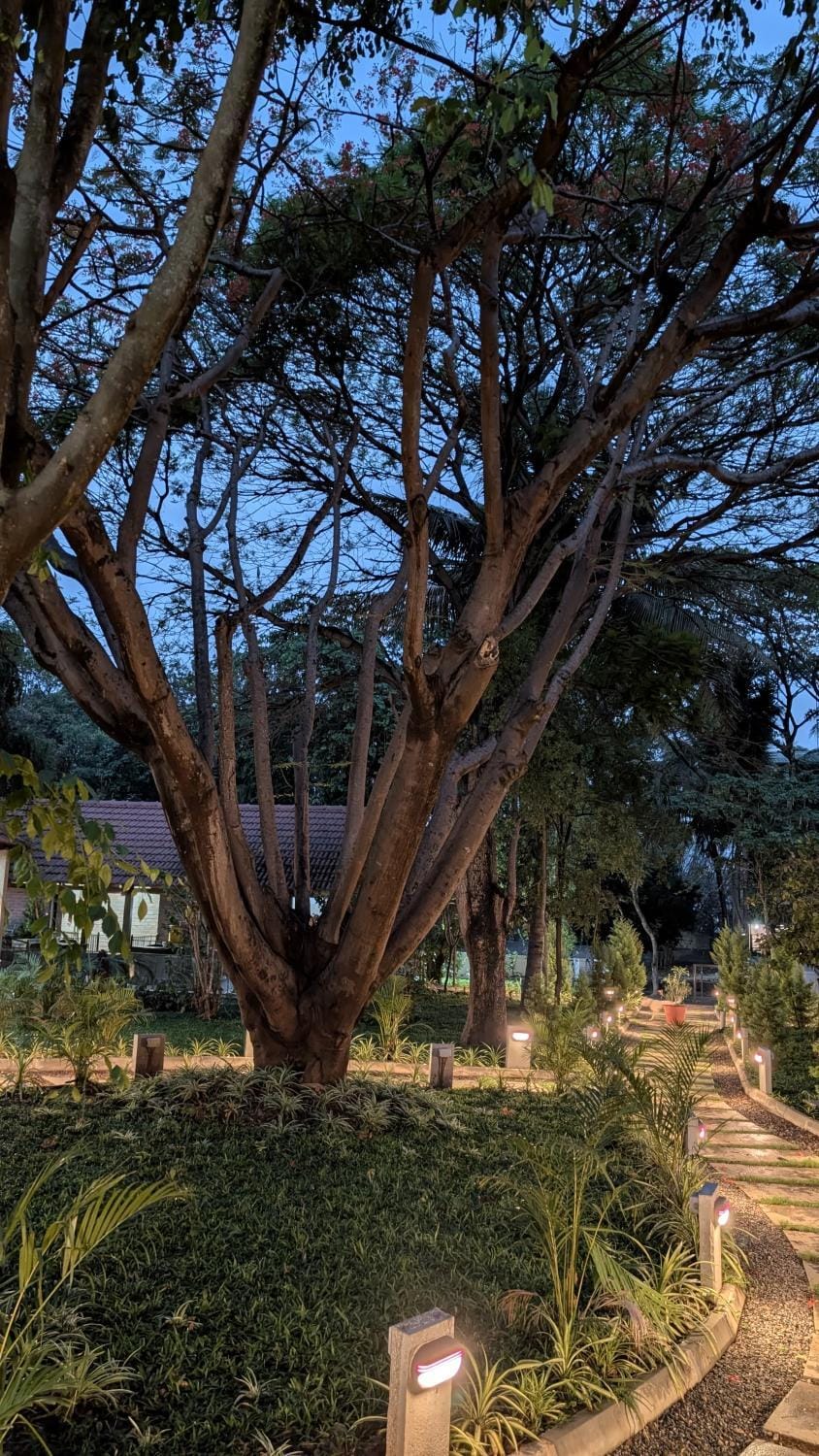 Natural landscape, Garden