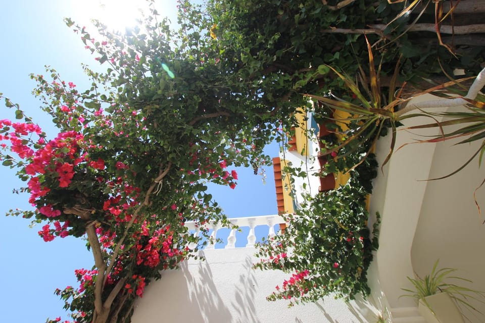 Facade/entrance, Garden, Balcony/Terrace, Garden view