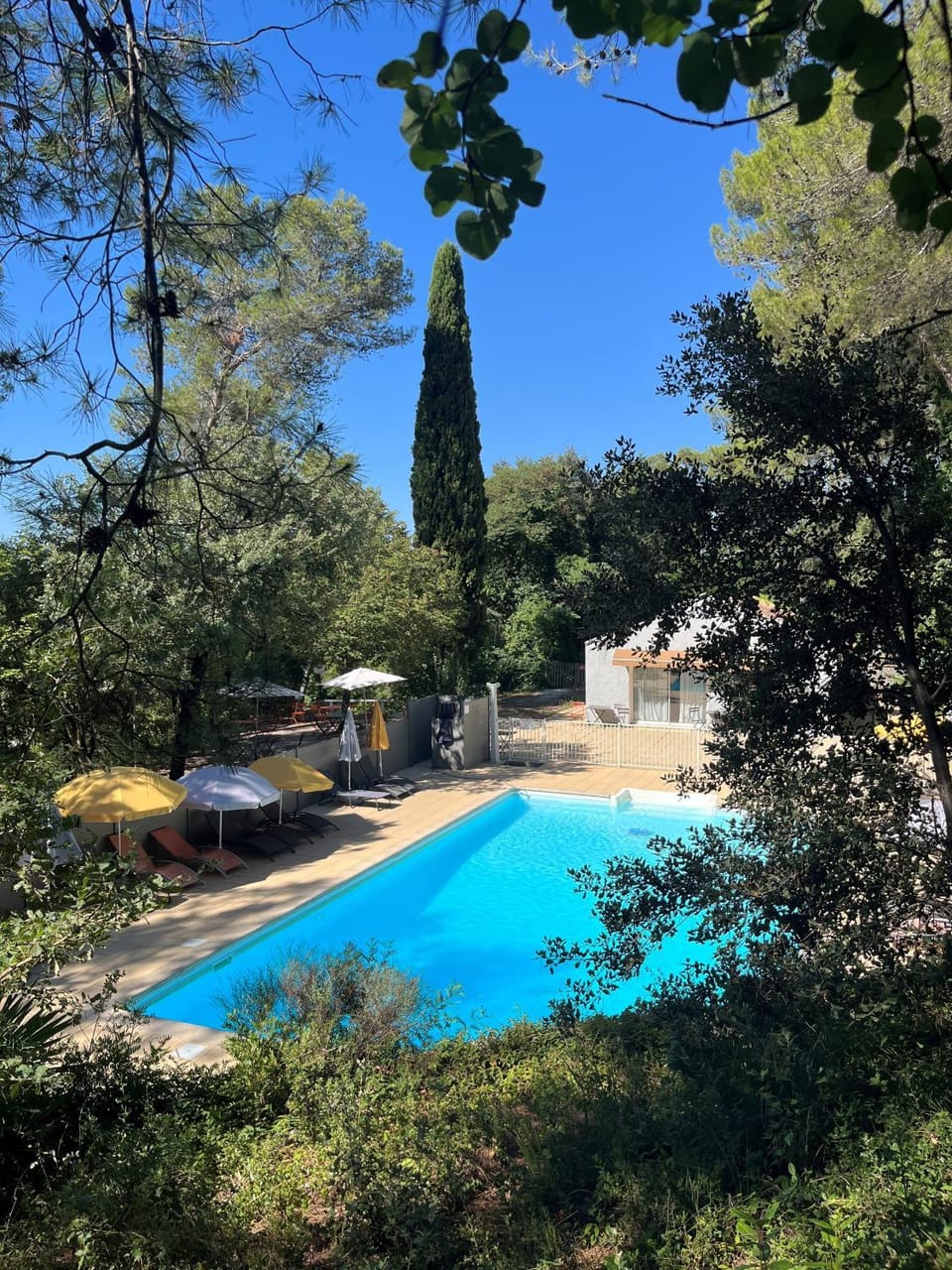 Swimming pool, Swimming pool