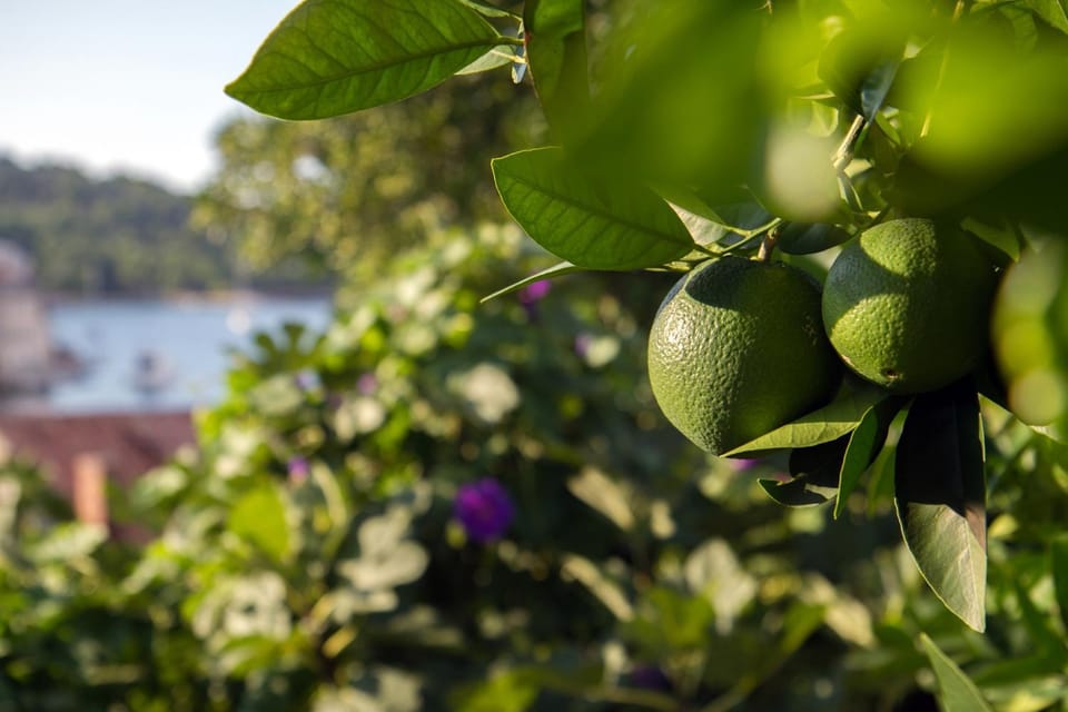 Location, children, Family