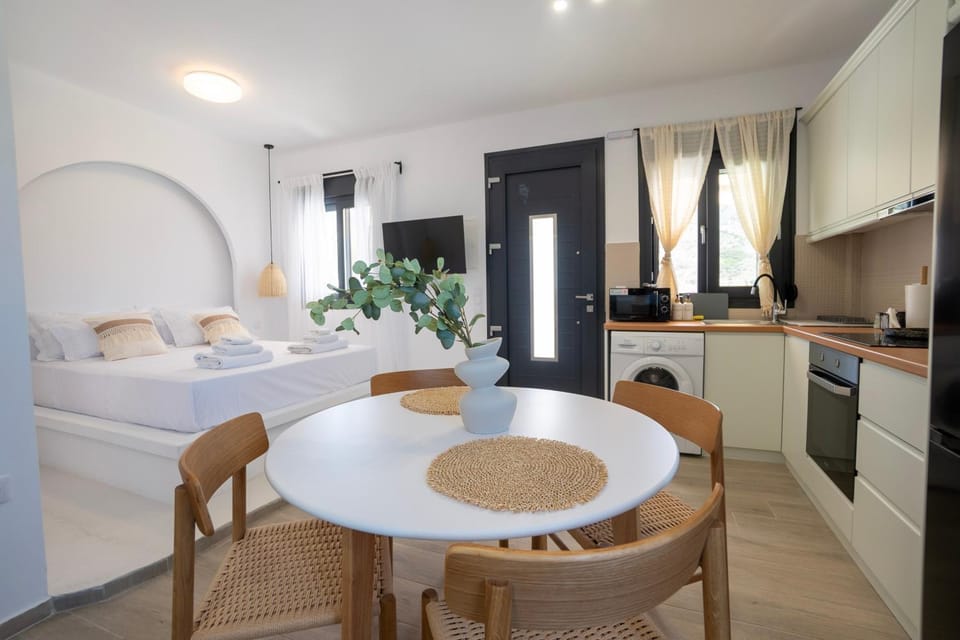 Kitchen or kitchenette, Photo of the whole room, Dining area, Bedroom, oven, stove