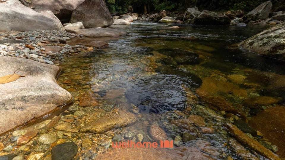 Chale na Mata Atlantica com rio e imersao natural Chalet in Joinville