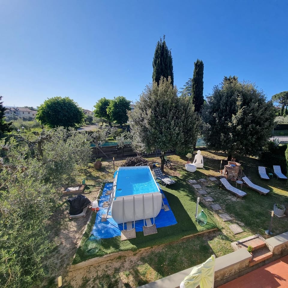 Garden, Garden view, Pool view, Swimming pool, sunbed
