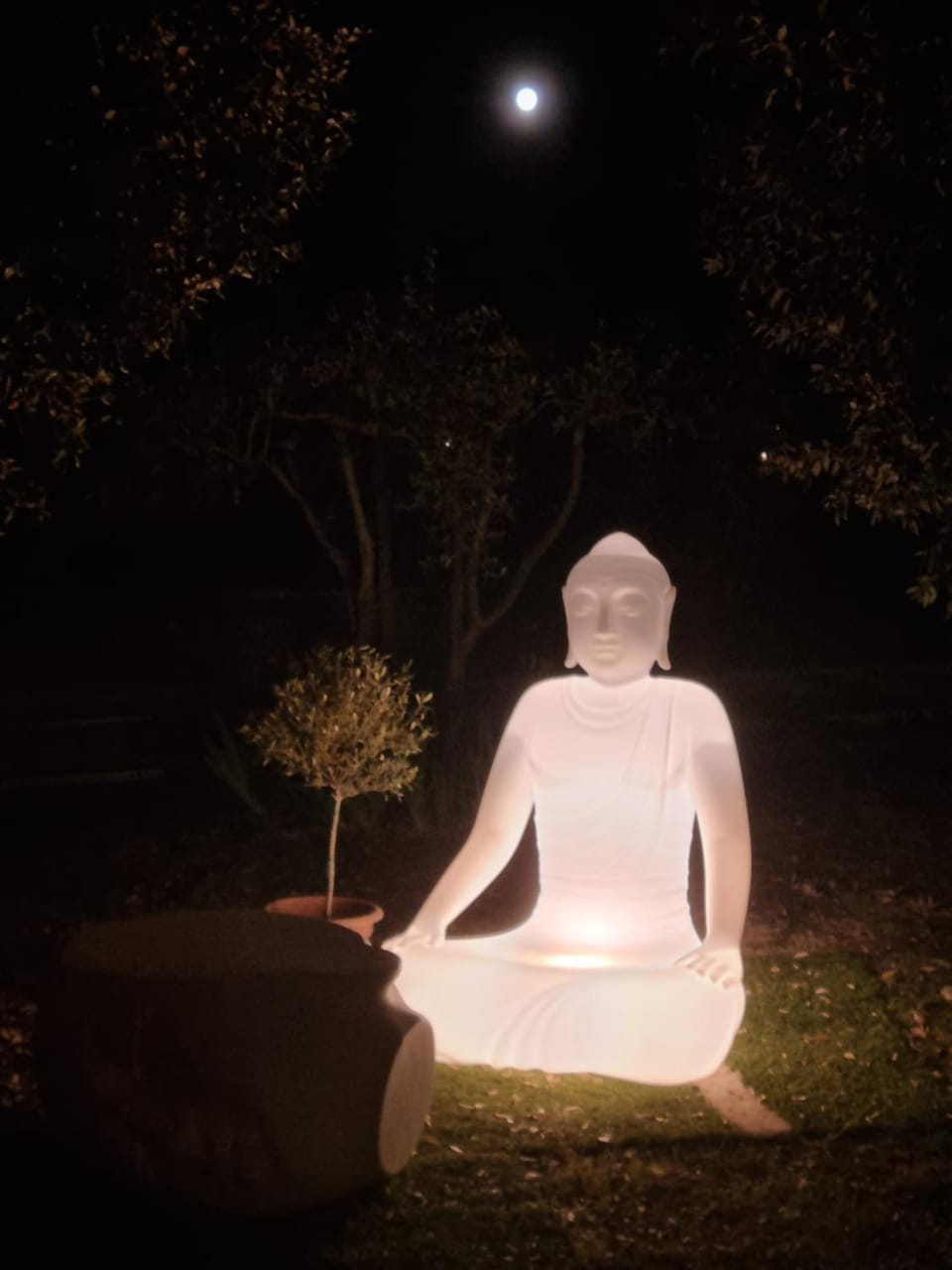 Night, Garden