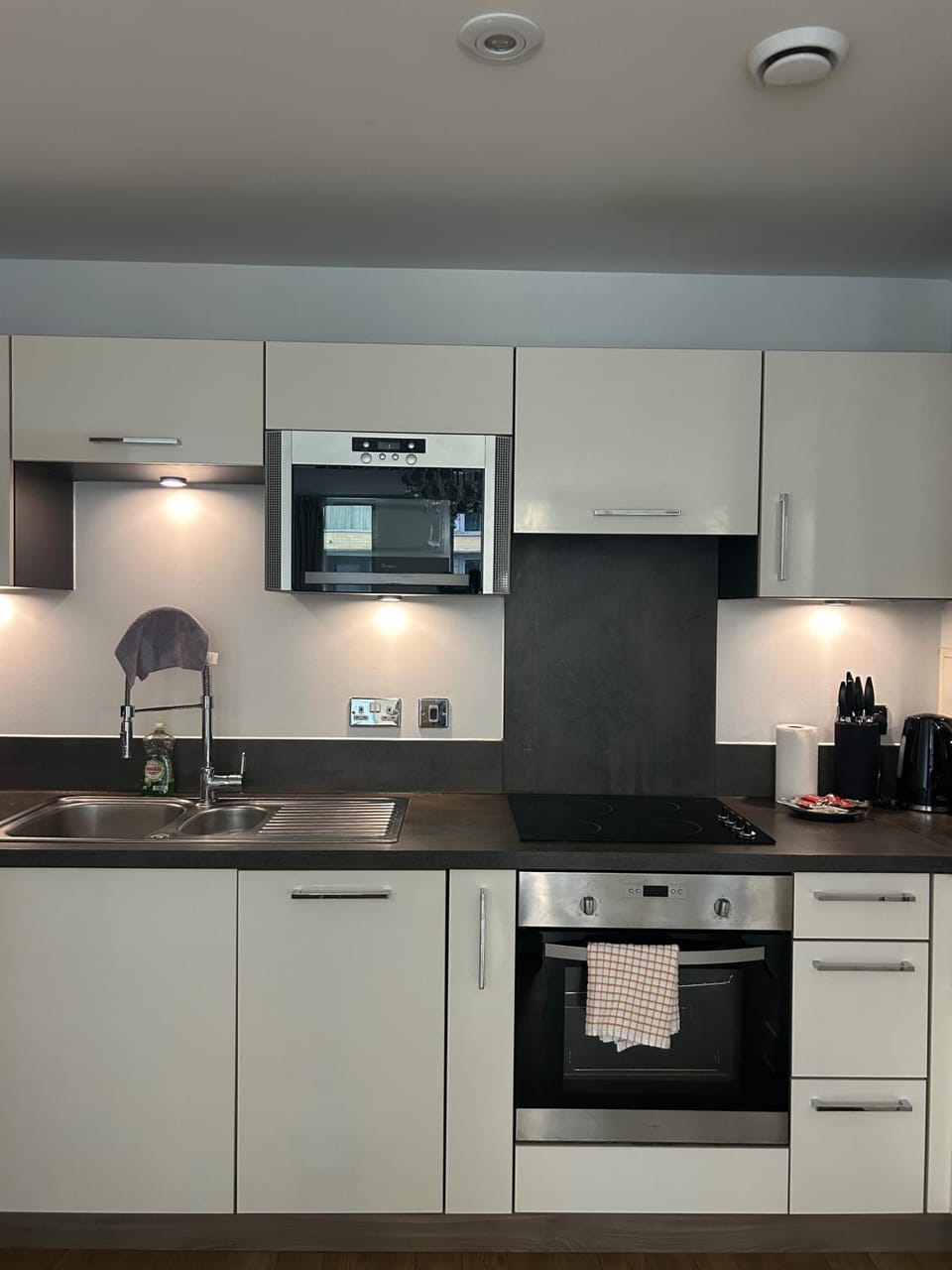 Kitchen or kitchenette, dishwasher, stove