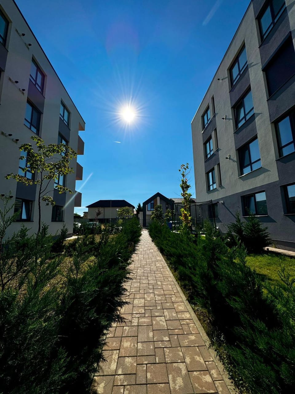 Property building, Garden, Garden view