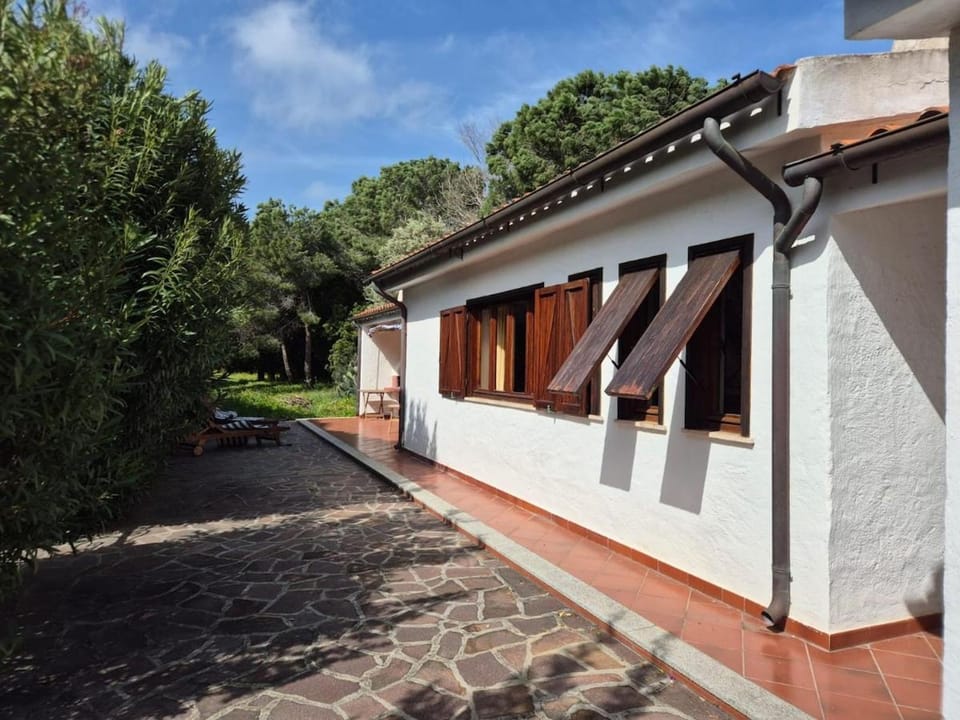 Garden, Balcony/Terrace