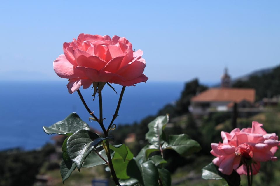 Location, children, Family