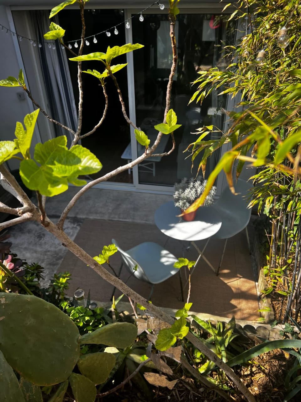 Spring, Garden, Garden, Garden view