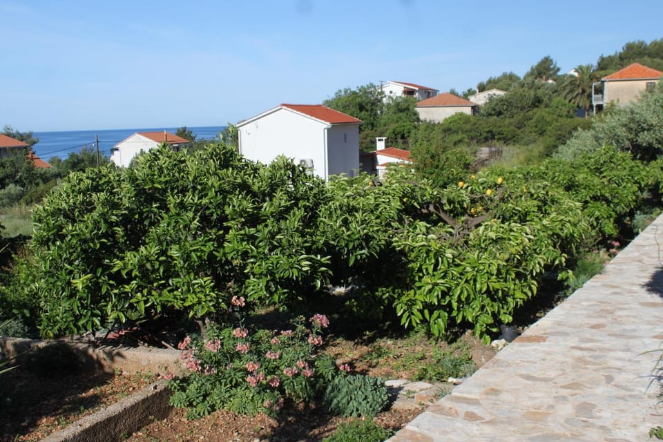 Location, children, Family