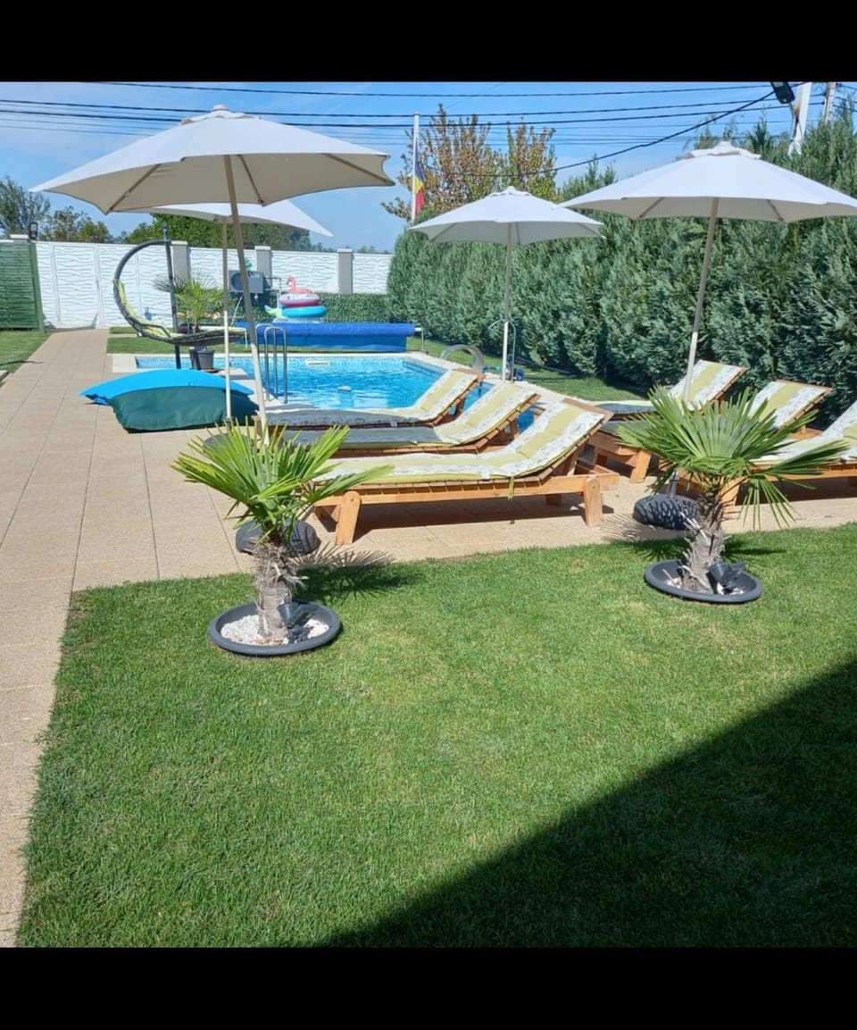 Pensiunea Danube Home Bed and Breakfast in Romania