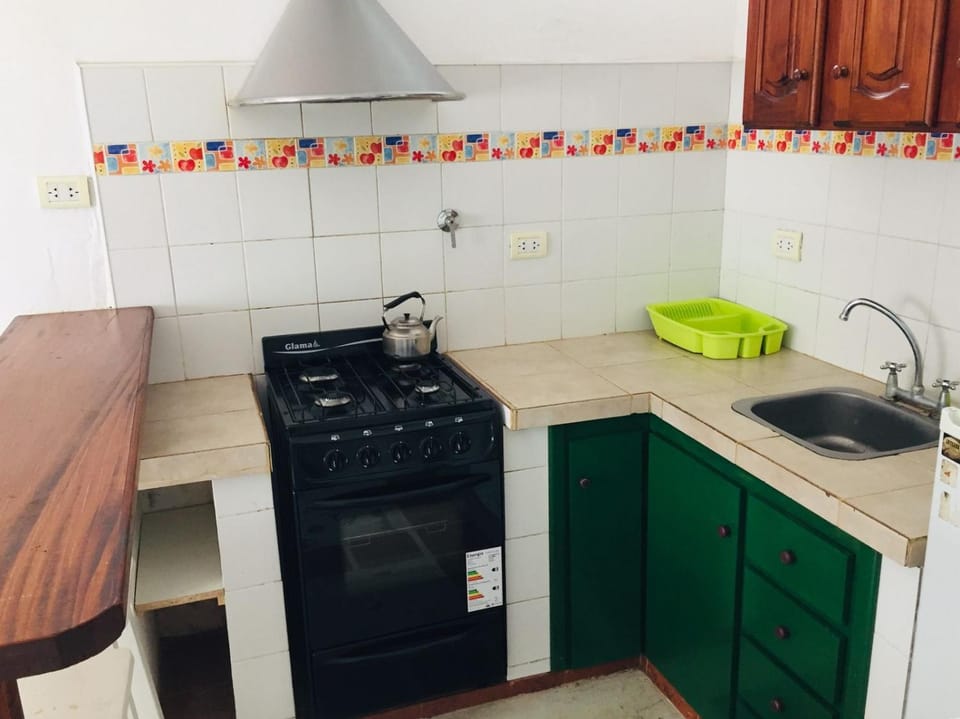 Kitchen or kitchenette, pet friendly